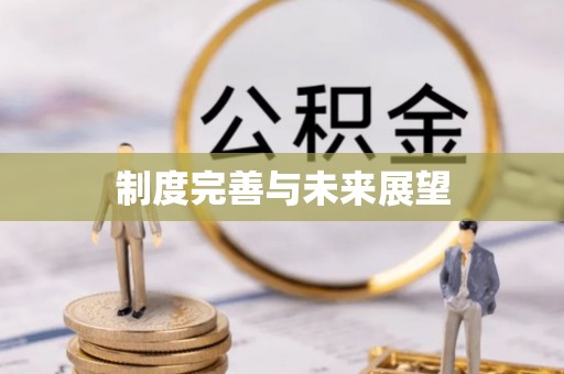 六合制度完善与未来展望