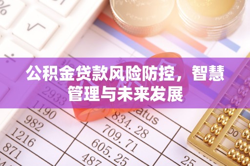 六合公积金贷款风险防控，智慧管理与未来发展