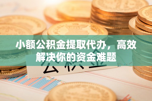 六合小额公积金提取代办，高效解决你的资金难题