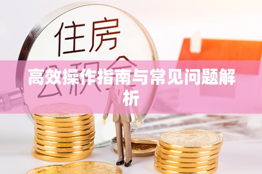 六合高效操作指南与常见问题解析