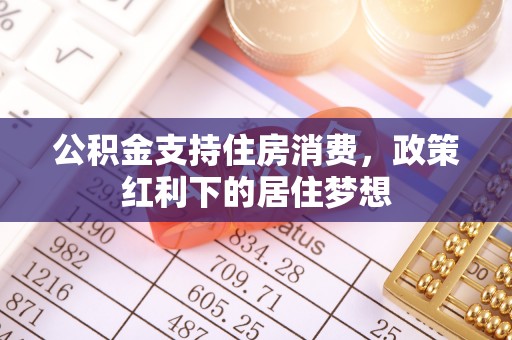 六合公积金支持住房消费，政策红利下的居住梦想