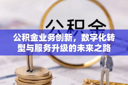 六合公积金业务创新，数字化转型与服务升级的未来之路